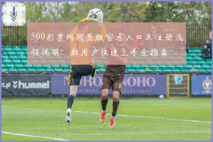500彩票网网页版官方入口及注册流程说明：新用户快速上手全指南