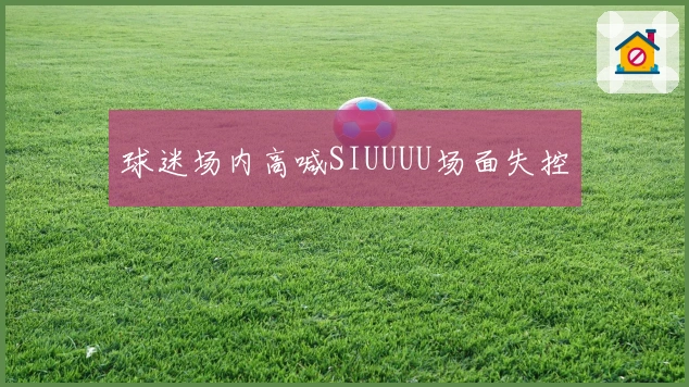 球迷场内高喊SIUUUU场面失控