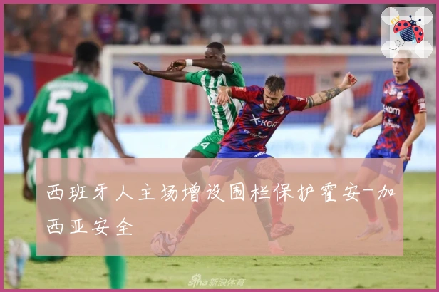 西班牙人主场增设围栏保护霍安-加西亚安全